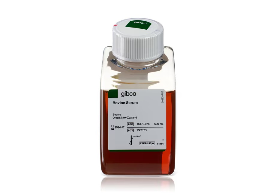 牛血清，新西兰来源